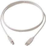 Cable (6.5 Feet, Usb 2.0)