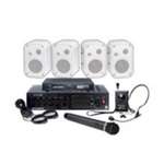 Esys2M Enhancer System (With Mic, Complete Voice Enhancement Package)