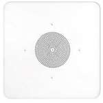 Speco Tech G86Tg2X2 2'X2' G86 Ceiling Tile Speaker